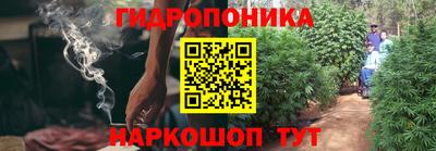 PSILOCYBIN Гусиноозёрск
